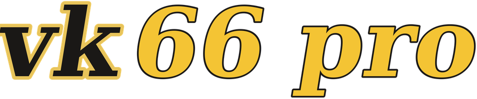 vk66 pro logo